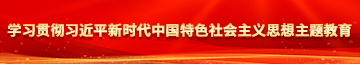 男生鸡鸡抽女生屁屁，的视频学习贯彻习近平新时代中国特色社会主义思想主题教育